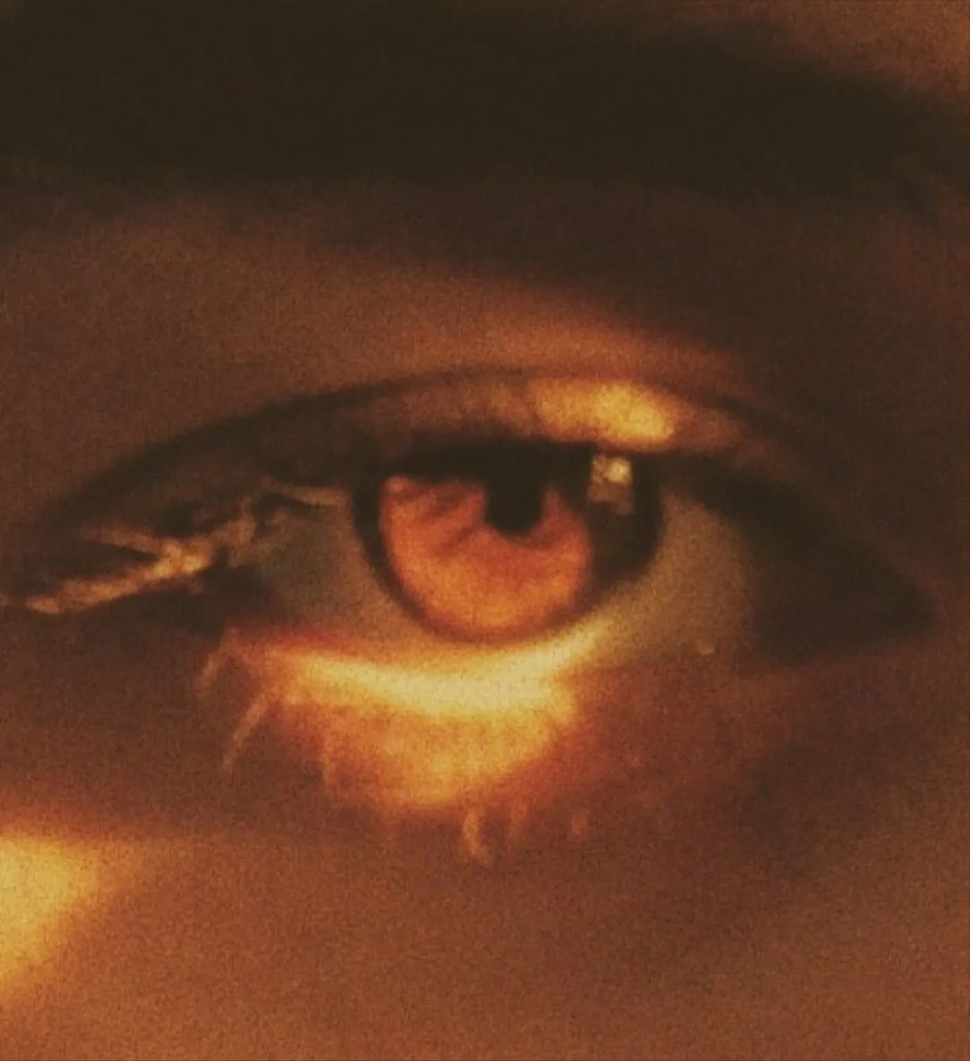 A close-up of an eye lit by low, golden evening light